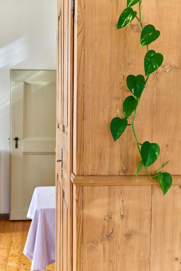 Al Cavour 34 Bed and Breakfast Trento Eksteriør billede